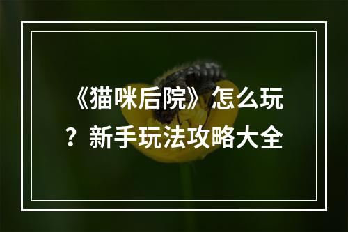 《猫咪后院》怎么玩？新手玩法攻略大全