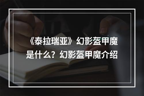 《泰拉瑞亚》幻影盔甲魔是什么？幻影盔甲魔介绍