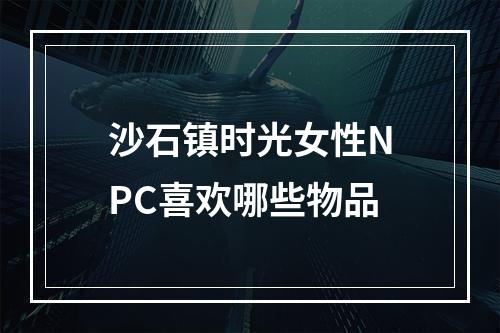 沙石镇时光女性NPC喜欢哪些物品