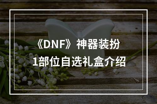 《DNF》神器装扮1部位自选礼盒介绍