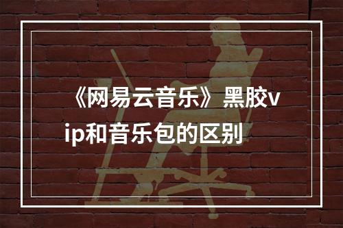 《网易云音乐》黑胶vip和音乐包的区别