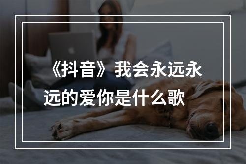 《抖音》我会永远永远的爱你是什么歌