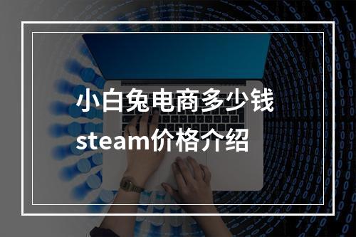 小白兔电商多少钱 steam价格介绍