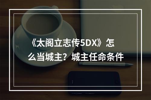 《太阁立志传5DX》怎么当城主？城主任命条件