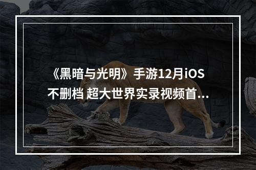 《黑暗与光明》手游12月iOS不删档 超大世界实录视频首曝