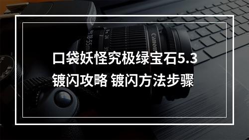 口袋妖怪究极绿宝石5.3镀闪攻略 镀闪方法步骤