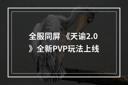 全服同屏 《天谕2.0》全新PVP玩法上线