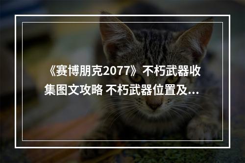 《赛博朋克2077》不朽武器收集图文攻略 不朽武器位置及获取方法