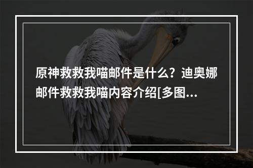 原神救救我喵邮件是什么？迪奥娜邮件救救我喵内容介绍[多图]