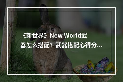 《新世界》New World武器怎么搭配？武器搭配心得分享