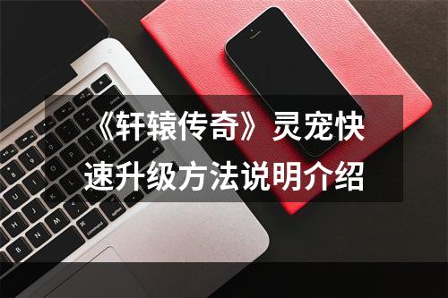 《轩辕传奇》灵宠快速升级方法说明介绍