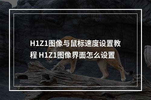 H1Z1图像与鼠标速度设置教程 H1Z1图像界面怎么设置