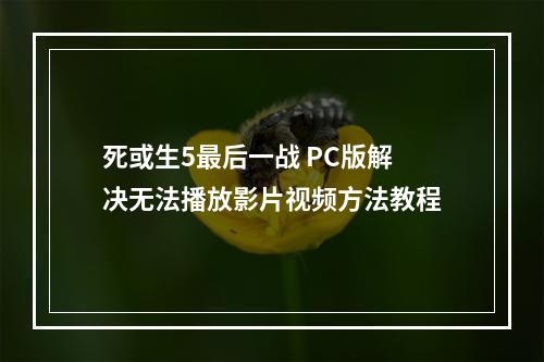 死或生5最后一战 PC版解决无法播放影片视频方法教程