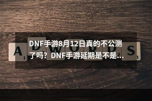 DNF手游8月12日真的不公测了吗？DNF手游延期是不是真的？[多图]