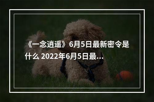 《一念逍遥》6月5日最新密令是什么 2022年6月5日最新密令