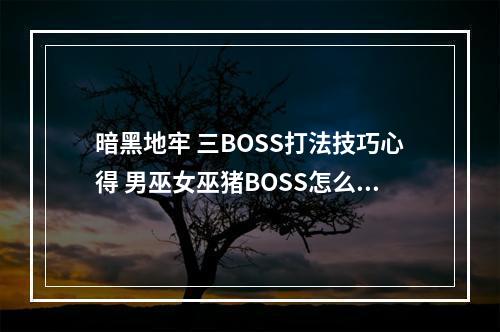 暗黑地牢 三BOSS打法技巧心得 男巫女巫猪BOSS怎么打