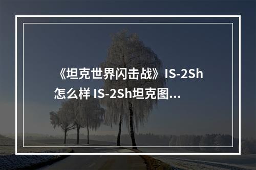 《坦克世界闪击战》IS-2Sh怎么样 IS-2Sh坦克图鉴