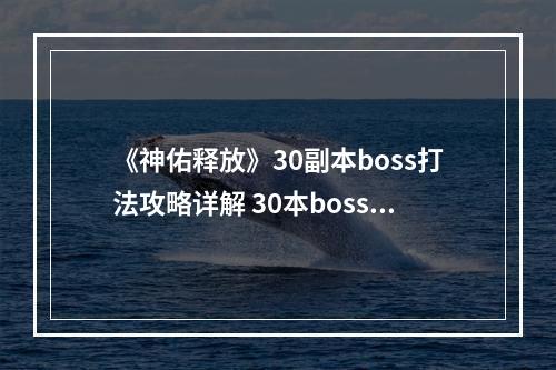 《神佑释放》30副本boss打法攻略详解 30本boss战怎么打？