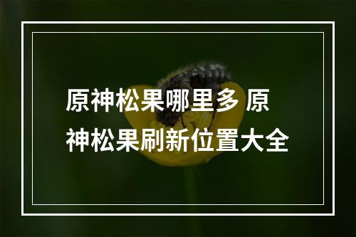 原神松果哪里多 原神松果刷新位置大全