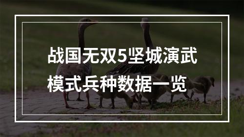 战国无双5坚城演武模式兵种数据一览