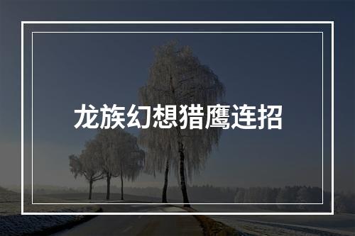 龙族幻想猎鹰连招