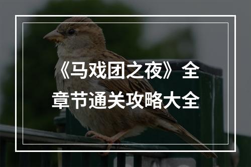 《马戏团之夜》全章节通关攻略大全