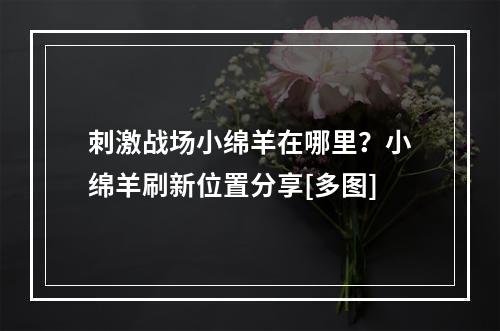 刺激战场小绵羊在哪里？小绵羊刷新位置分享[多图]