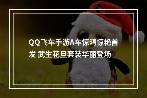 QQ飞车手游A车惊鸿惊艳首发 武生花旦套装华丽登场