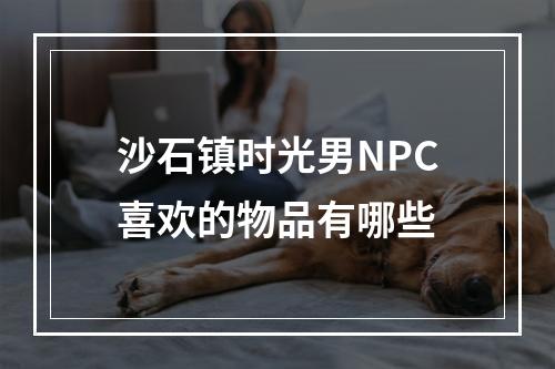 沙石镇时光男NPC喜欢的物品有哪些