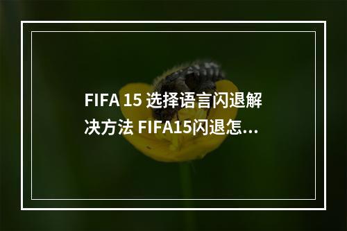 FIFA 15 选择语言闪退解决方法 FIFA15闪退怎么办