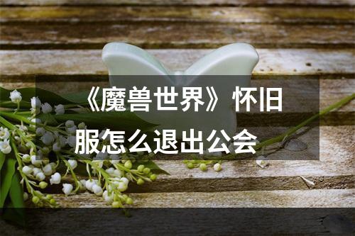 《魔兽世界》怀旧服怎么退出公会