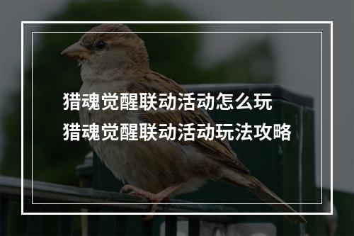 猎魂觉醒联动活动怎么玩 猎魂觉醒联动活动玩法攻略