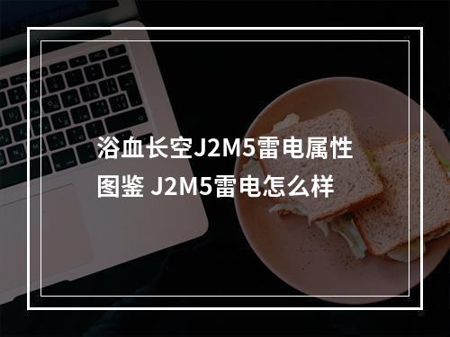 浴血长空J2M5雷电属性图鉴 J2M5雷电怎么样