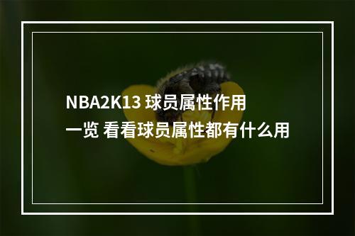 NBA2K13 球员属性作用一览 看看球员属性都有什么用