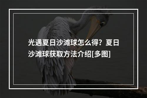 光遇夏日沙滩球怎么得？夏日沙滩球获取方法介绍[多图]