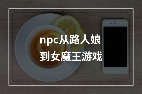 npc从路人娘到女魔王游戏