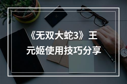 《无双大蛇3》王元姬使用技巧分享