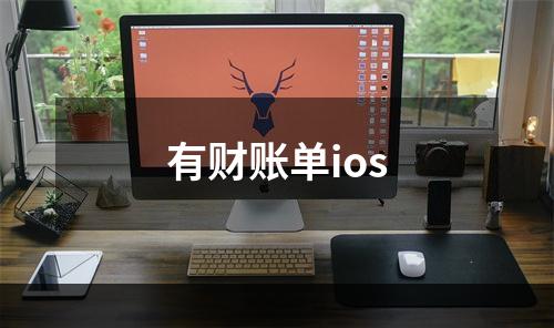 有财账单ios