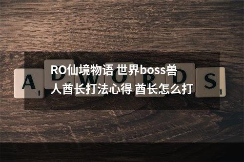 RO仙境物语 世界boss兽人酋长打法心得 酋长怎么打