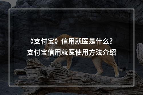 《支付宝》信用就医是什么？支付宝信用就医使用方法介绍