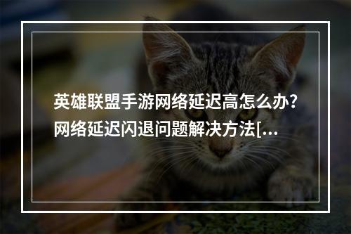 英雄联盟手游网络延迟高怎么办？网络延迟闪退问题解决方法[多图]