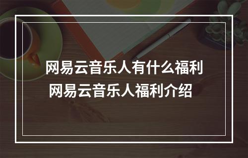 网易云音乐人有什么福利 网易云音乐人福利介绍