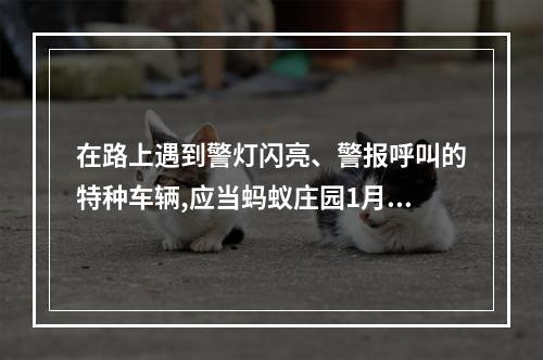 在路上遇到警灯闪亮、警报呼叫的特种车辆,应当蚂蚁庄园1月10日答案早知道