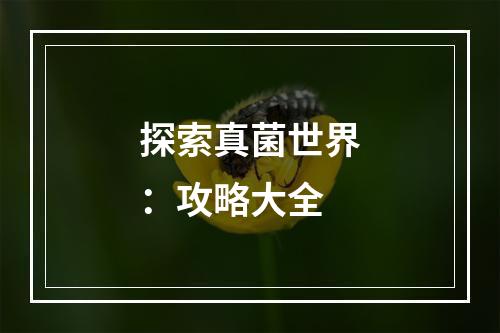 探索真菌世界：攻略大全