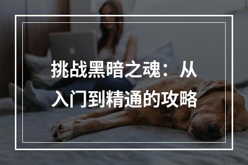 挑战黑暗之魂：从入门到精通的攻略