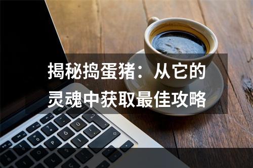 揭秘捣蛋猪：从它的灵魂中获取最佳攻略