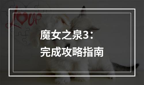 魔女之泉3：完成攻略指南