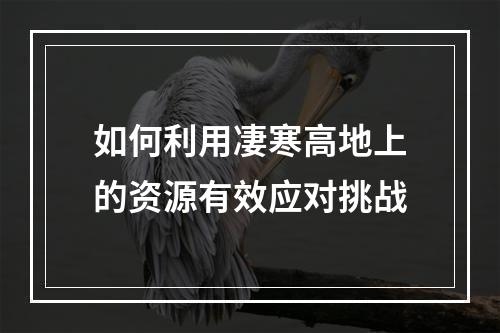 如何利用凄寒高地上的资源有效应对挑战