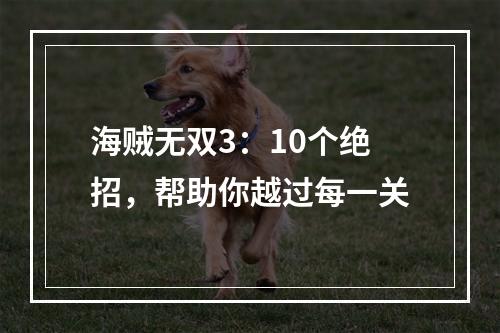 海贼无双3：10个绝招，帮助你越过每一关