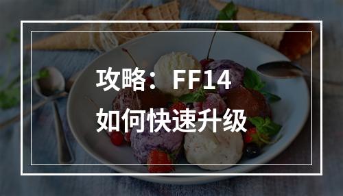 攻略：FF14如何快速升级